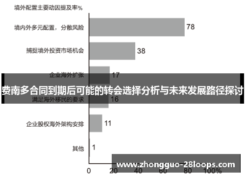 费南多合同到期后可能的转会选择分析与未来发展路径探讨 费南多合同到期后可能的转会选择分析与未来发展路径探讨