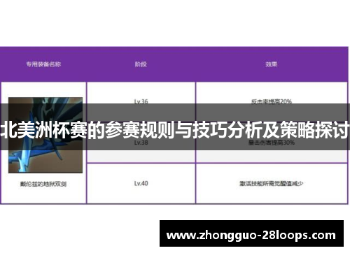 北美洲杯赛的参赛规则与技巧分析及策略探讨