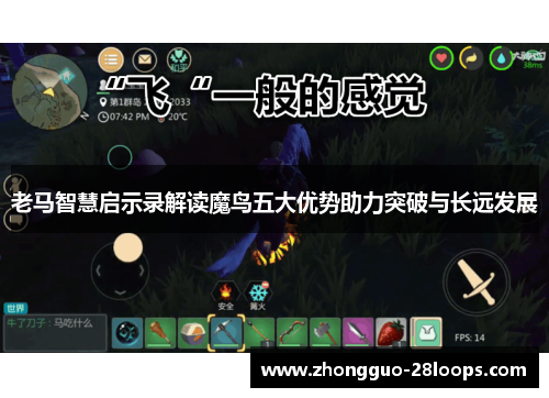 老马智慧启示录解读魔鸟五大优势助力突破与长远发展