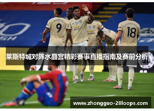 莱斯特城对阵水晶宫精彩赛事直播指南及赛前分析