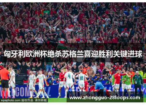 匈牙利欧洲杯绝杀苏格兰喜迎胜利关键进球