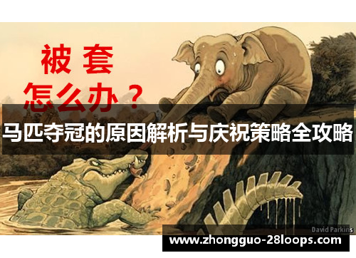 马匹夺冠的原因解析与庆祝策略全攻略