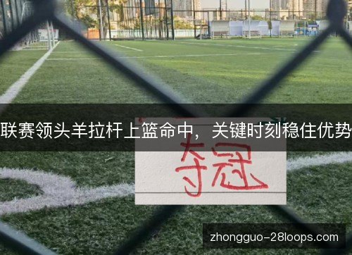 联赛领头羊拉杆上篮命中,关键时刻稳住优势 联赛领头羊拉杆上篮命中,关键时刻稳住优势